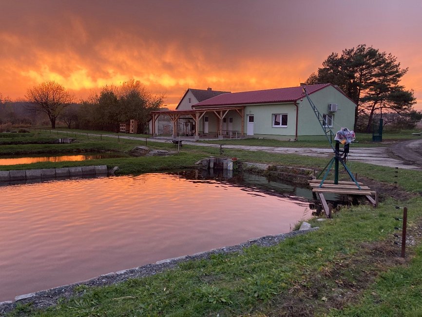 Chov ryb - středisko SK