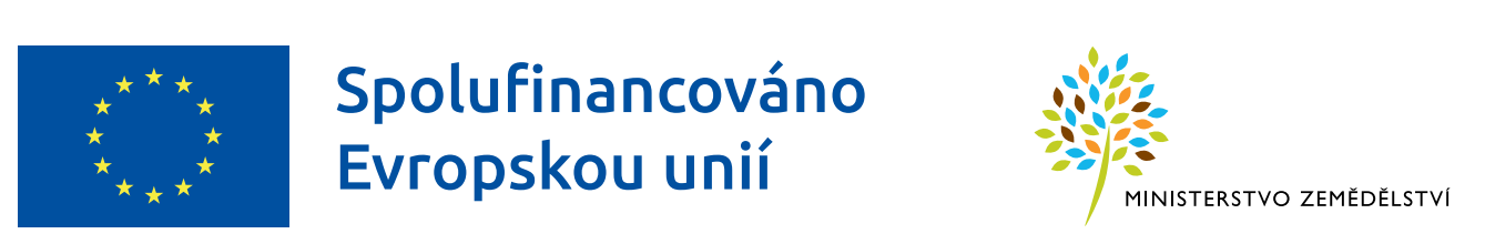 Logo EU