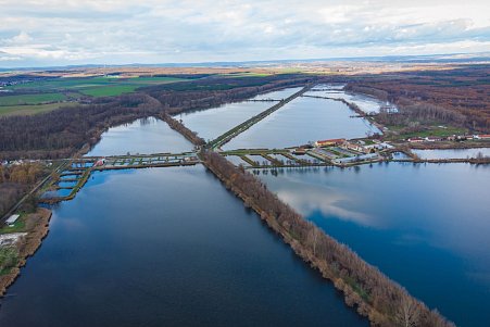 V březnu začíná sezóna rybí líhně – tření štik